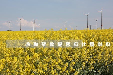 逾期贷款是否应计算利息 逾期贷款是否应计算利息