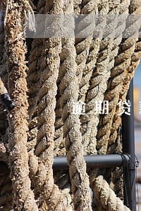 逾期贷款是哪个平台 逾期贷款是哪个平台