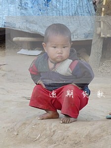 逾期贷款本金包括贷款利息吗 逾期贷款本金包括贷款利息吗