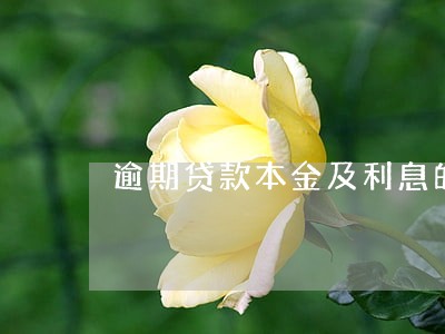 逾期贷款本金及利息的处理 逾期贷款本金及利息的处理
