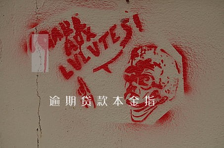 逾期贷款本金指 逾期贷款本金指