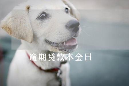 逾期贷款本金日 逾期贷款本金日