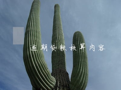 逾期贷款核算内容