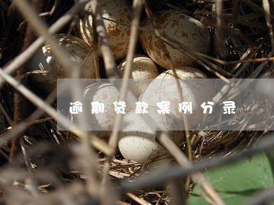 逾期贷款案例分录 逾期贷款案例分录