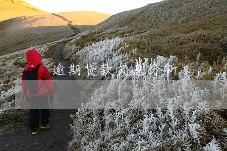 逾期贷款欠息分析 逾期贷款欠息分析