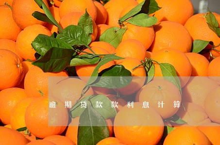 逾期贷款款利息计算 逾期贷款款利息计算