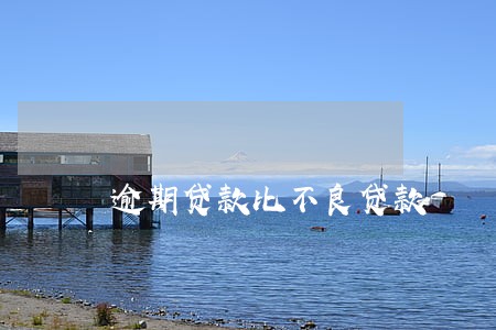 逾期贷款比不良贷款 逾期贷款比不良贷款