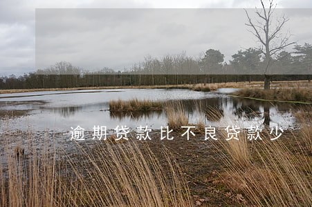 逾期贷款比不良贷款少 逾期贷款比不良贷款少