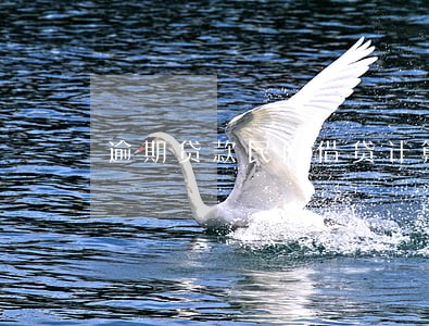 逾期贷款民间借贷计算 逾期贷款民间借贷计算