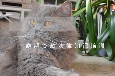 逾期贷款法律知识培训 逾期贷款法律知识培训