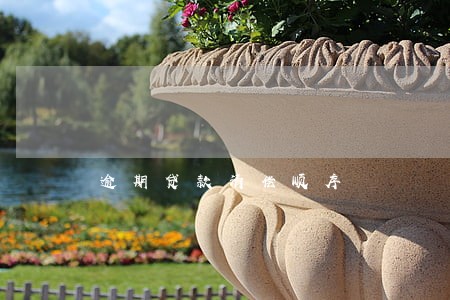 逾期贷款清偿顺序 逾期贷款清偿顺序