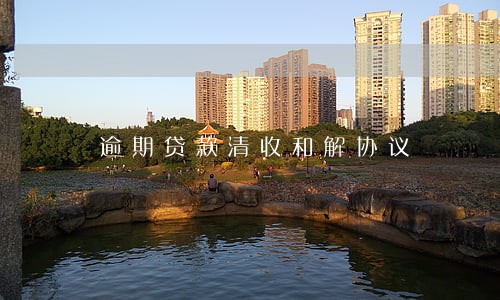 逾期贷款清收和解协议 逾期贷款清收和解协议