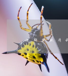 逾期贷款清收处置 逾期贷款清收处置