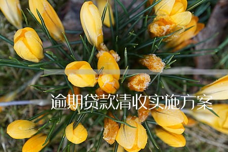 逾期贷款清收实施方案 逾期贷款清收实施方案