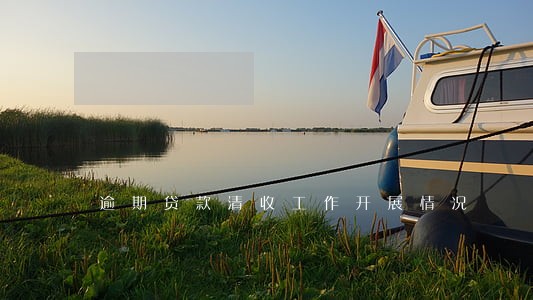 逾期贷款清收工作开展情况 逾期贷款清收工作开展情况