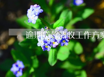逾期贷款清收工作方案 逾期贷款清收工作方案