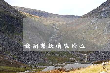 逾期贷款清收情况 逾期贷款清收情况
