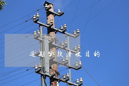 逾期贷款清收目的 逾期贷款清收目的