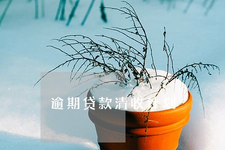 逾期贷款清收计划 逾期贷款清收计划