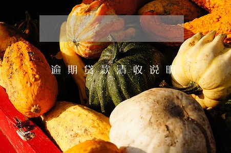 逾期贷款清收说明 逾期贷款清收说明