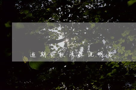 逾期贷款清收说明书 逾期贷款清收说明书