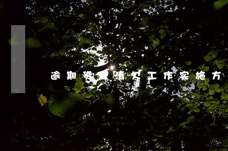 逾期贷款清欠工作实施方案 逾期贷款清欠工作实施方案