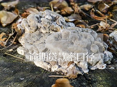 逾期贷款率口径 逾期贷款率口径