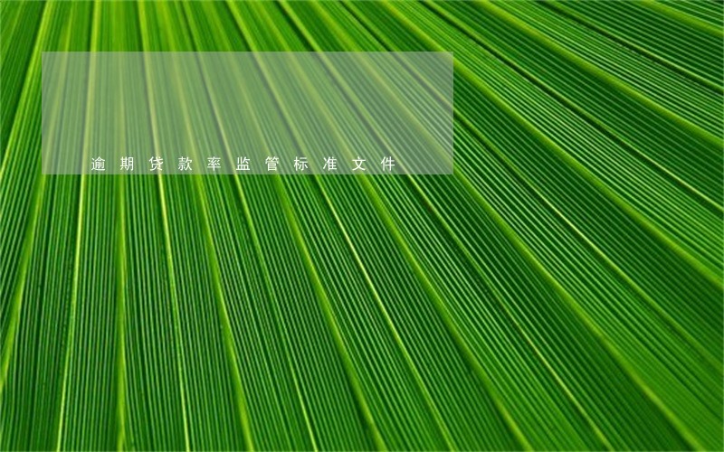 逾期贷款率监管标准文件 逾期贷款率监管标准文件