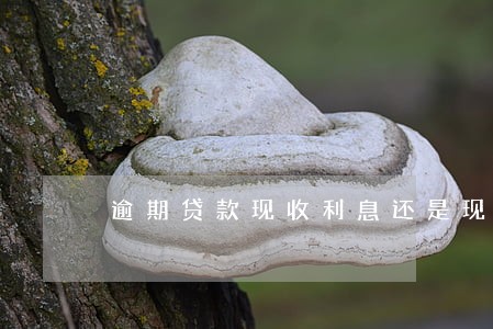 逾期贷款现收利息还是现收本金 逾期贷款现收利息还是现收本金