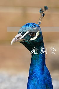 逾期贷款申请 逾期贷款申请