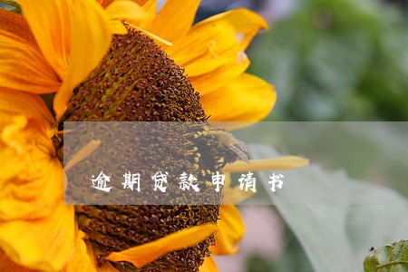 逾期贷款申请书 逾期贷款申请书