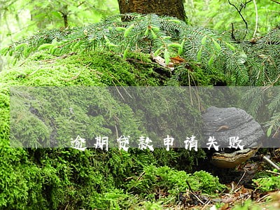 逾期贷款申请失败 逾期贷款申请失败
