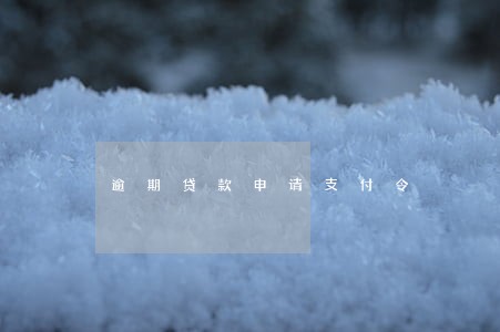 逾期贷款申请支付令 逾期贷款申请支付令