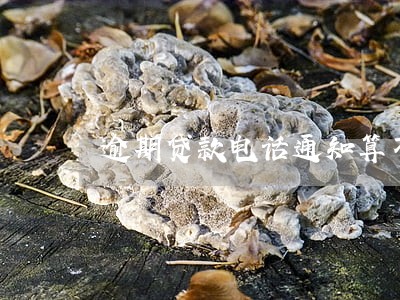 逾期贷款电话通知算不算证据 逾期贷款电话通知算不算证据