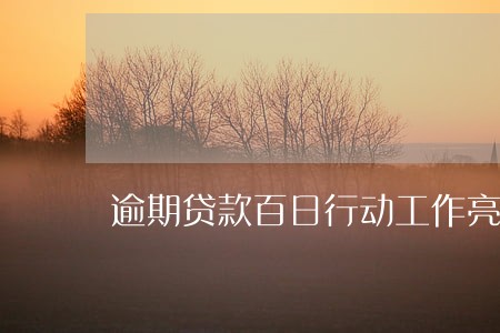 逾期贷款百日行动工作亮点 逾期贷款百日行动工作亮点