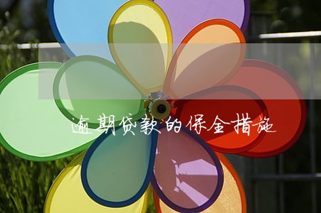 逾期贷款的保全措施 逾期贷款的保全措施
