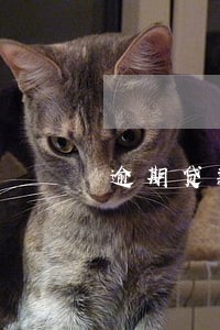 逾期贷款的催收措施 逾期贷款的催收措施