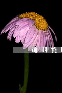 逾期贷款的处置和清收技巧 逾期贷款的处置和清收技巧