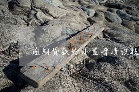 逾期贷款的处置嵴清收技巧
