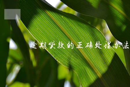 逾期贷款的正确处理办法 逾期贷款的正确处理办法