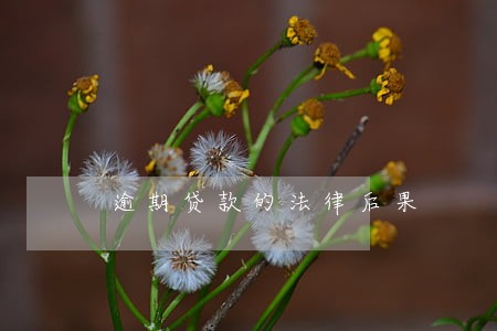 逾期贷款的法律后果 逾期贷款的法律后果
