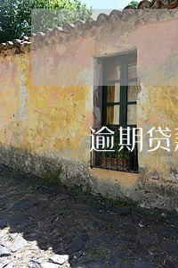 逾期贷款的法律实务课后测试 逾期贷款的法律实务课后测试