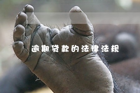 逾期贷款的法律法规 逾期贷款的法律法规