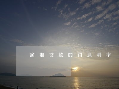 逾期贷款的罚息利率 逾期贷款的罚息利率