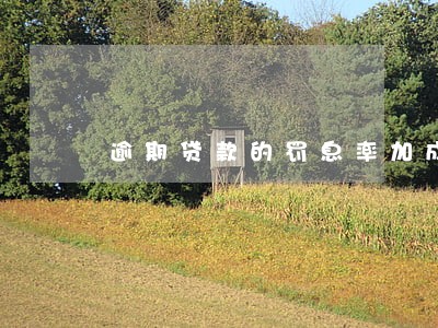逾期贷款的罚息率加成 逾期贷款的罚息率加成