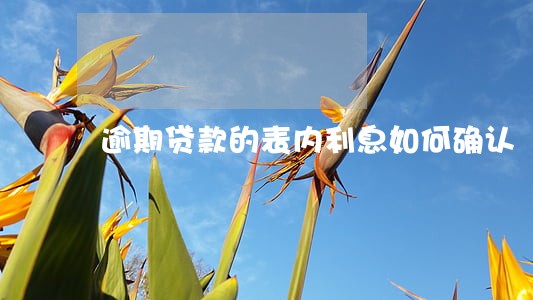 逾期贷款的表内利息如何确认 逾期贷款的表内利息如何确认