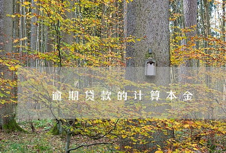 逾期贷款的计算本金 逾期贷款的计算本金
