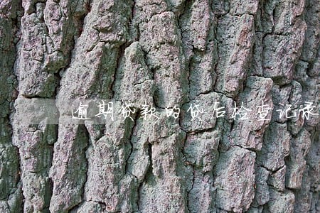 逾期贷款的贷后检查记录