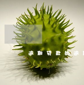 逾期贷款的逾期天数计算器 逾期贷款的逾期天数计算器