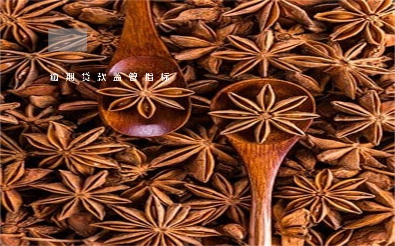 逾期贷款监管指标 逾期贷款监管指标